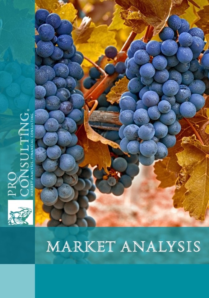Market research report on wine materials. 2013